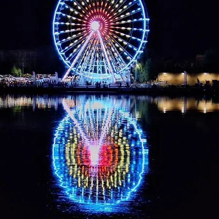 Cocon Calme Au Coeur De Toulouse